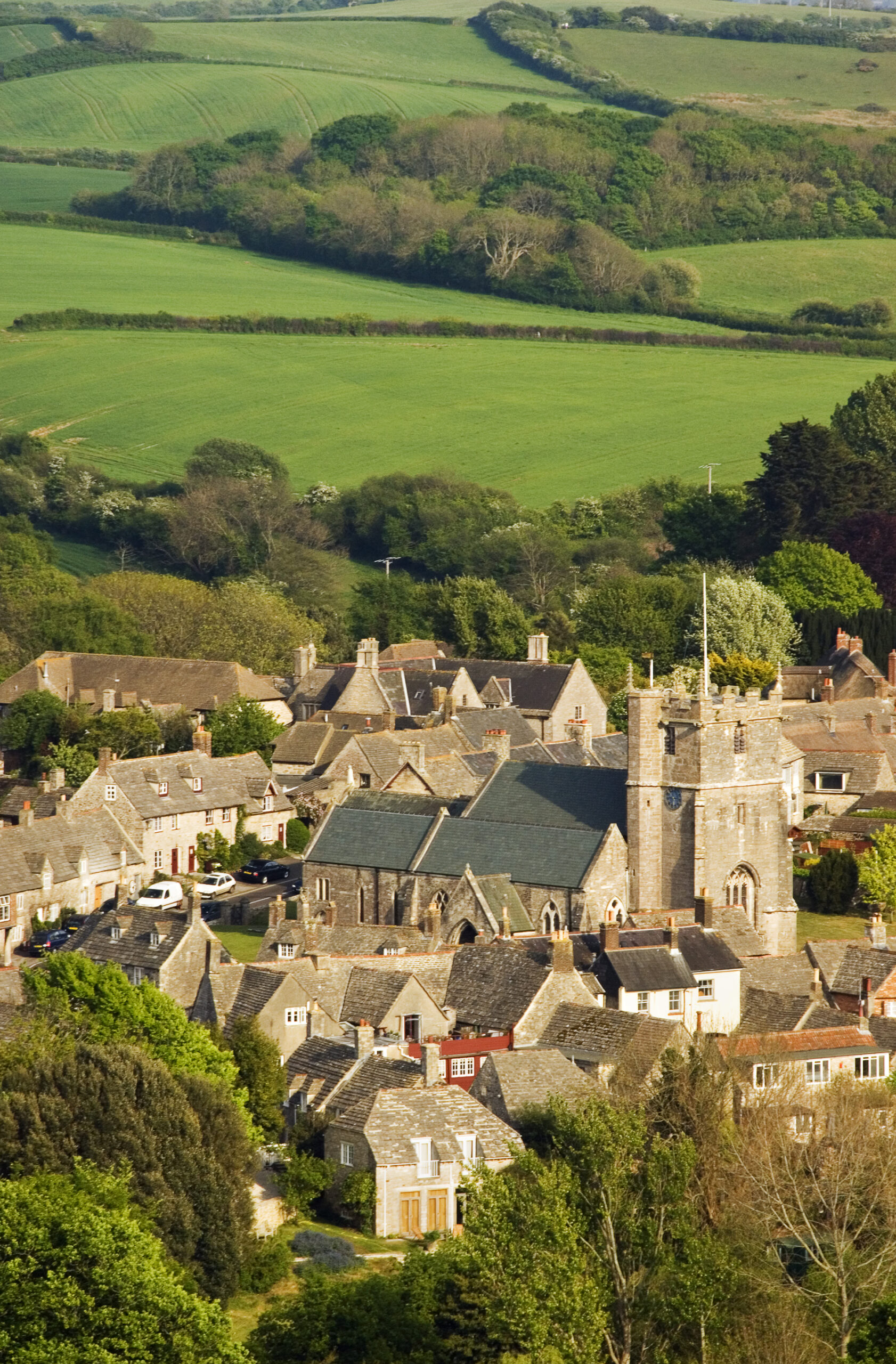 Septic tank installation and maintenance illustration